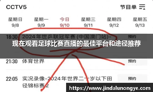 现在观看足球比赛直播的最佳平台和途径推荐