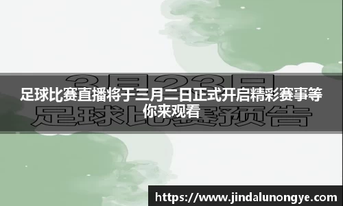 风云体育