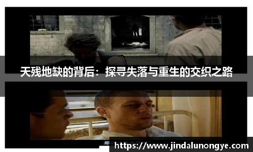 天残地缺的背后：探寻失落与重生的交织之路