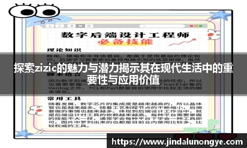 探索zizic的魅力与潜力揭示其在现代生活中的重要性与应用价值